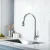 Import Chrome Single Handle Pull Down Faucet Kitchen Brass Body Sink Tap Kitchen Faucet from China