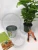 Import Clear Plastic Plant Seeding Plant Plastic  Saucer Flower Planter Pot Tray from China