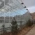 Import Commercial automated light steel structure agriculture glass greenhouse glasshouse from China