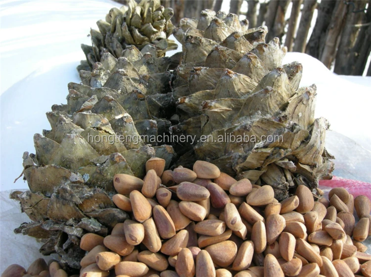 Commercial Pine Nut Sheller Pine nut Processing machine