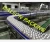 Import Conveyer chain plateau,convoyeur plateau,plastic slat modular conveyor chain system from China