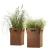 Import Corten steel decoration product for garden and home from China
