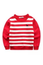 custom embroidered hoodies sweatshirt for children 100 combed cotton wholesale childrens hoodies sweatshirt