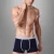 Import Custom logo male blank plain mens underwear transparent sexy men briefs underwear from China