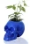 Import Custom resin geek style designed high glossy skull vase from China