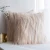 Import Decorative New Luxury Series Style Faux Fur Throw Pillow Case Cushion Cover for Sofa Bedroom Car from China