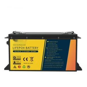 Deep cycle 3500 cycles 48v 80ah100ah LifePo4 battery for golf cart batteries