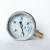 Import Dial size 63mm liquid filled glycerin pressure gauge 200 psi from China