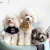 Import Dog Clothes Pet Accessories Luxury Wraps Pet Scarf 2020 New Design Cute Dog Accessories Dog Clothes Wholesales Pet Supplies from China