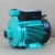 Domestic Copper Wire Self-Priming RUD-201EH Centrifugal Pump with Electric Cable
