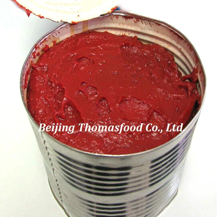 Double concentrated tomato ketchup sauce seasoning cheap price