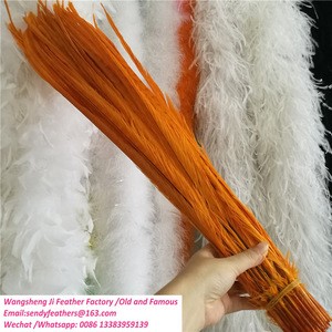 Dyed Ringneck Pheasant Tails  pluma de faisan