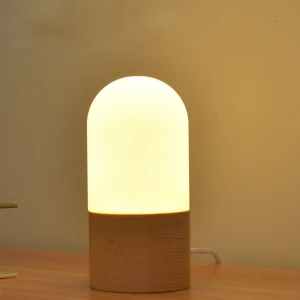 Eco-friendly DC 6V USB Connect Wooden 3D Led Night Lamp