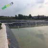 Eco friendly water tank liners exported to South Africa,large plastic black color fish pond liner aquaculture farming equipment