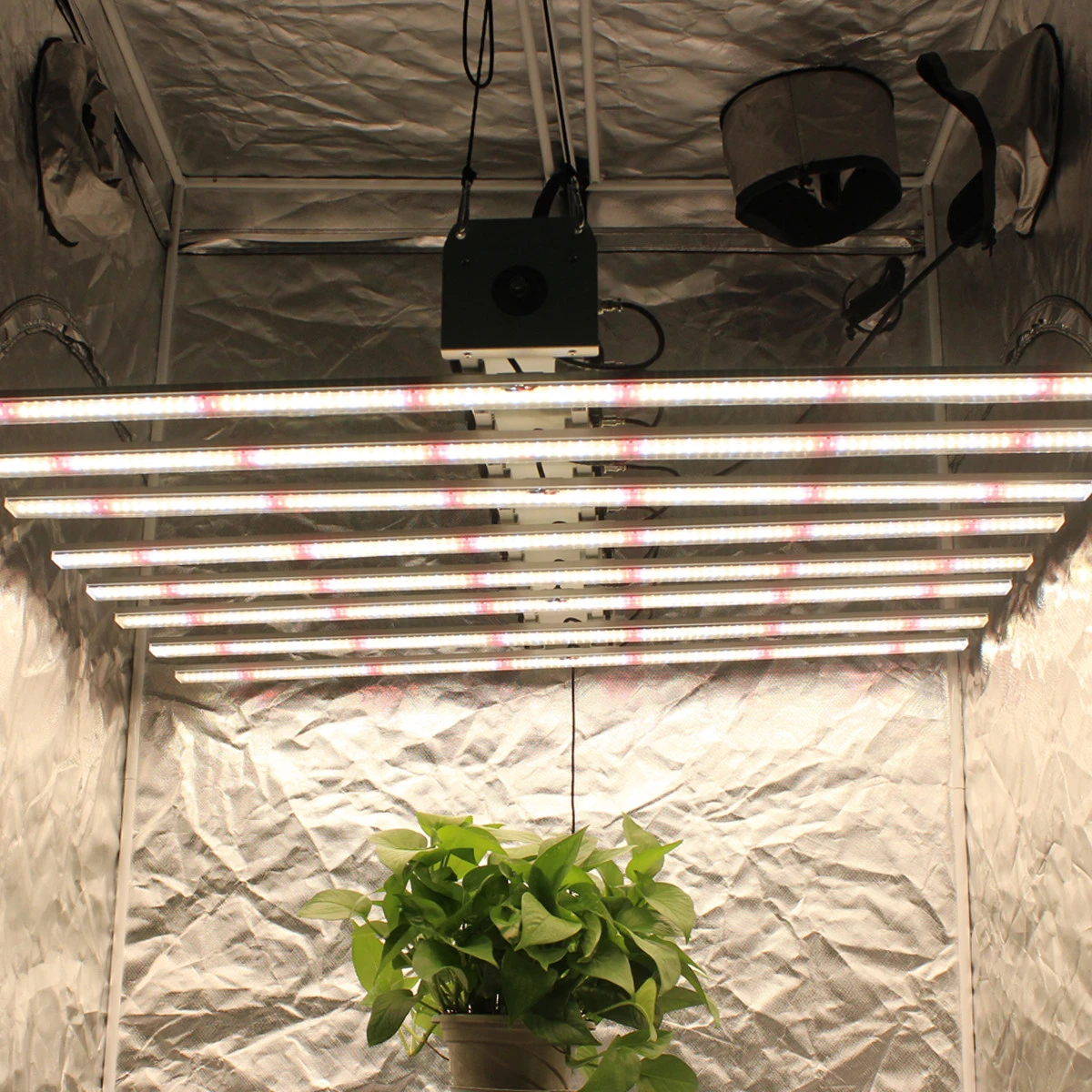 Eco Indoor Farm 660W UV IR LED Grow Light Hydroponic