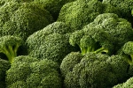 Egypt high bulk frozen broccoli with reasonable price