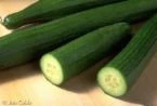 Egyptian green cucumber