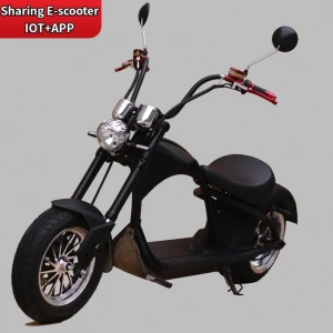 Electric Scooter 2000W European Warehouse Stock Coco City Scooter With Removable Battery 1500W Scooter Electric Adult