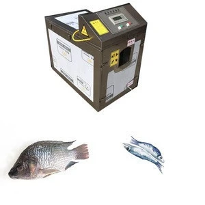 energy equipment automatic 304 material fish scaling gutting machine seafood  processing machine