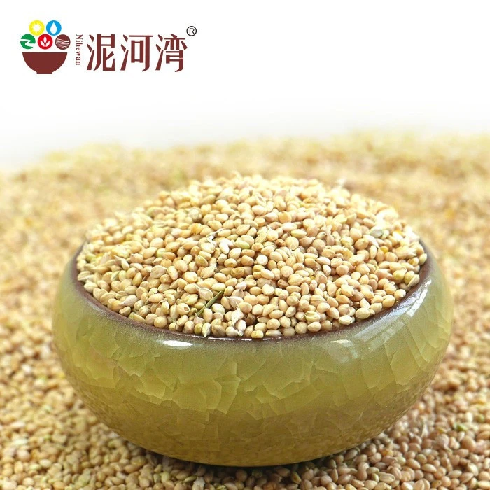 exporting grade white broom corn millet for bird feed