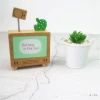 Factory direct sale cactus music box new products creative gift crafts home bedroom decoration music box for mom box