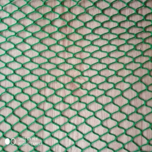 Factory direct supply  plastic mesh green knotless mesh,nylon mesh