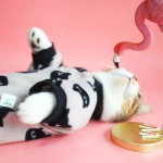 Factory directly sell high quality pet clothes for cat