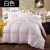 Import Factory supply goose down and feather comforter/quilt for home hotel from China