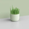 Factory Wholesale Clean Mouth Remove Hairballs Pet Cat Grass Cup