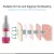 Import FAMISOO 2020 NEW Amazon Cosmetics lips tattoo color ink PMU Microblading Eyebrow Pigment from China