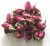 Import Feeze Dried Rose Petal from India
