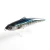 Import Fishing Popper Saltwater Lure  Big Pencil Lure Hard Bait Floating For Kingfish Tuna ECOODA Hornet 180mm 82g from China
