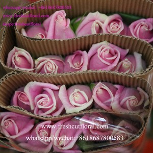 Florist Supplies Wholesalers The Highest Quality Fresh Roses Flower Very Beautiful Rose Flowers With Fast Delivery For Flower We