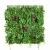 Import Flowerking factory drict sale artificial grass wall boxwood hedge artificial plant for decoration from China