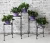 Import Folding Metal Rustic Elegant 5 Plant Shelf Flower Pot Stand Rack from China