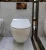 Import Foshan high quality wall hung toilet from China