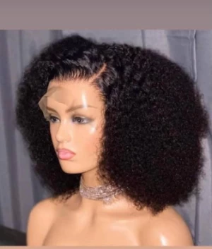 Free sample Afro Kinky Curly Wig 13x4 Pre Plucked Lace Wigs 150% Density Peruvian Remy Lace Front Human Hair Wigs For Women