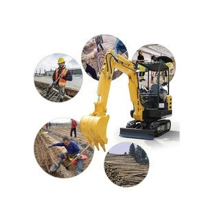 Free Shipping Earth Moving Equipment 2.0 Tons Zero Tail Mini Excavator With Japan Engine