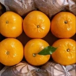 fresh citrus fruit