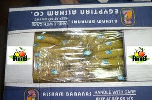 fresh egyptian bananas high quality A