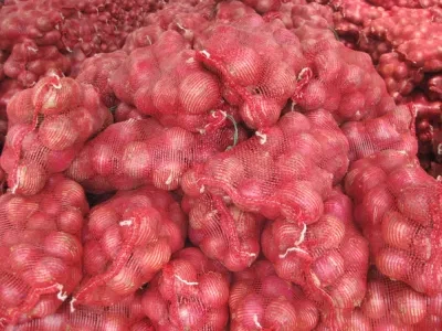 Fresh High Quality Red Onion