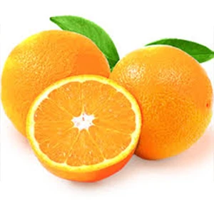 Fresh Juicy Oranges and Valencia - Three Categories ( Premium - Class 1 - Class 2 )