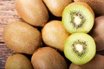 Fresh Kiwi Fruits For Sales