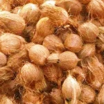 FRESH MATURE BROWN COCONUT FROM INDONESIA WITH HIGH QUALITY