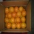 Import fresh Orange for sale from Egypt