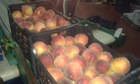 Fresh Peach For Sale