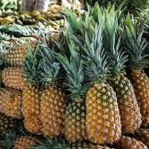 Fresh  Pineapple Wholesale Fresh Pineapple / Pineapple Fruit Price