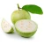 Import FRESH PINK GUAVA/ GUAVA FRUIT from China