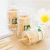 Import friendly disposable Sharp Two Ends and One Top Fruit bamboo picks  Bamboo toothpicks in Plastic Jar from China