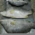 Import Frozen Barramundi Fillet Fish from China